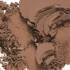 Blot Powder Pressed