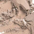 Blot Powder Pressed