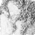 Pigment