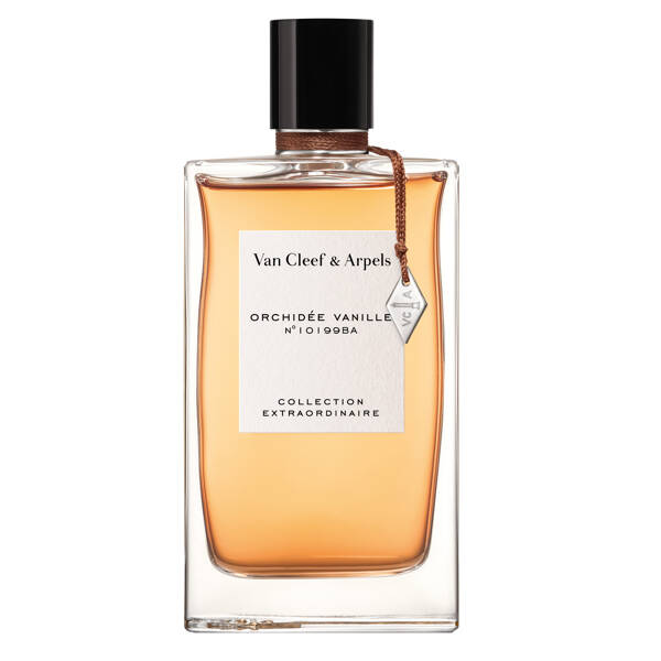 Orchidée Vanille