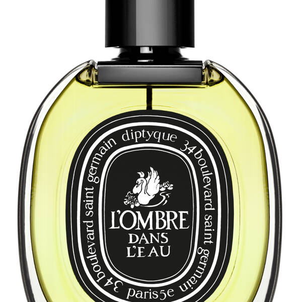 L`Ombre dans l'eau