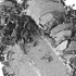 Pressed Pigment