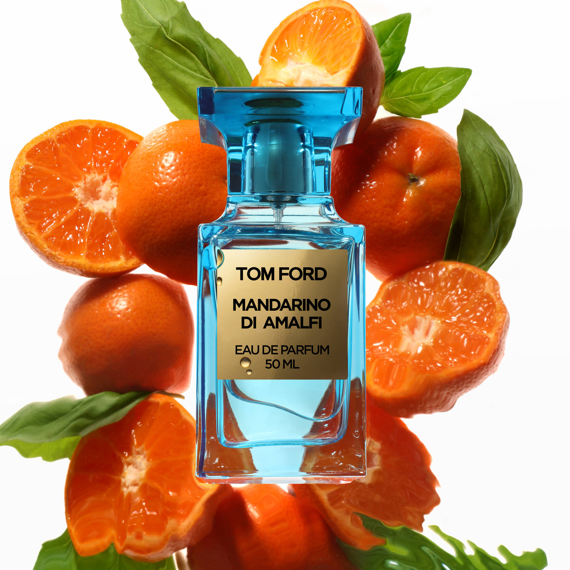 香水(男性用) TOM FORD MANDARINO DI AMALFI 50 ML Mandarino di Amalfi Eau de Parfum von Tom Ford - online bestellen