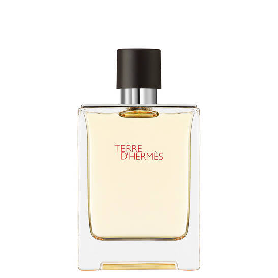 Terre d'Hermès Eau de Toilette Spray