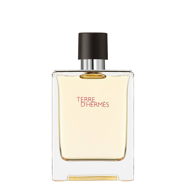 Terre d'Hermès Eau de Toilette Spray