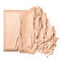 dandelion twinkle powder highlighter - mini