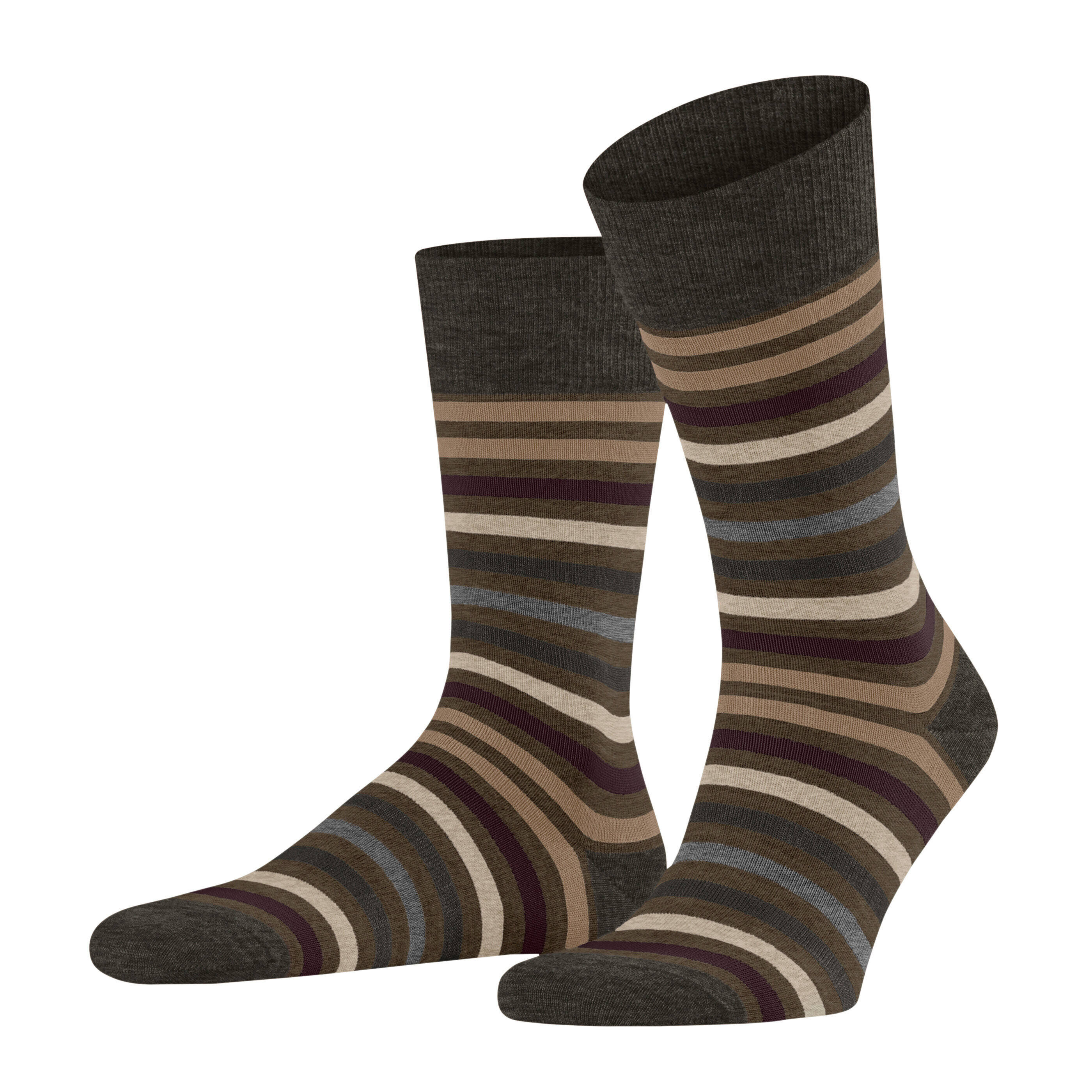 Socke Tinted Stripe