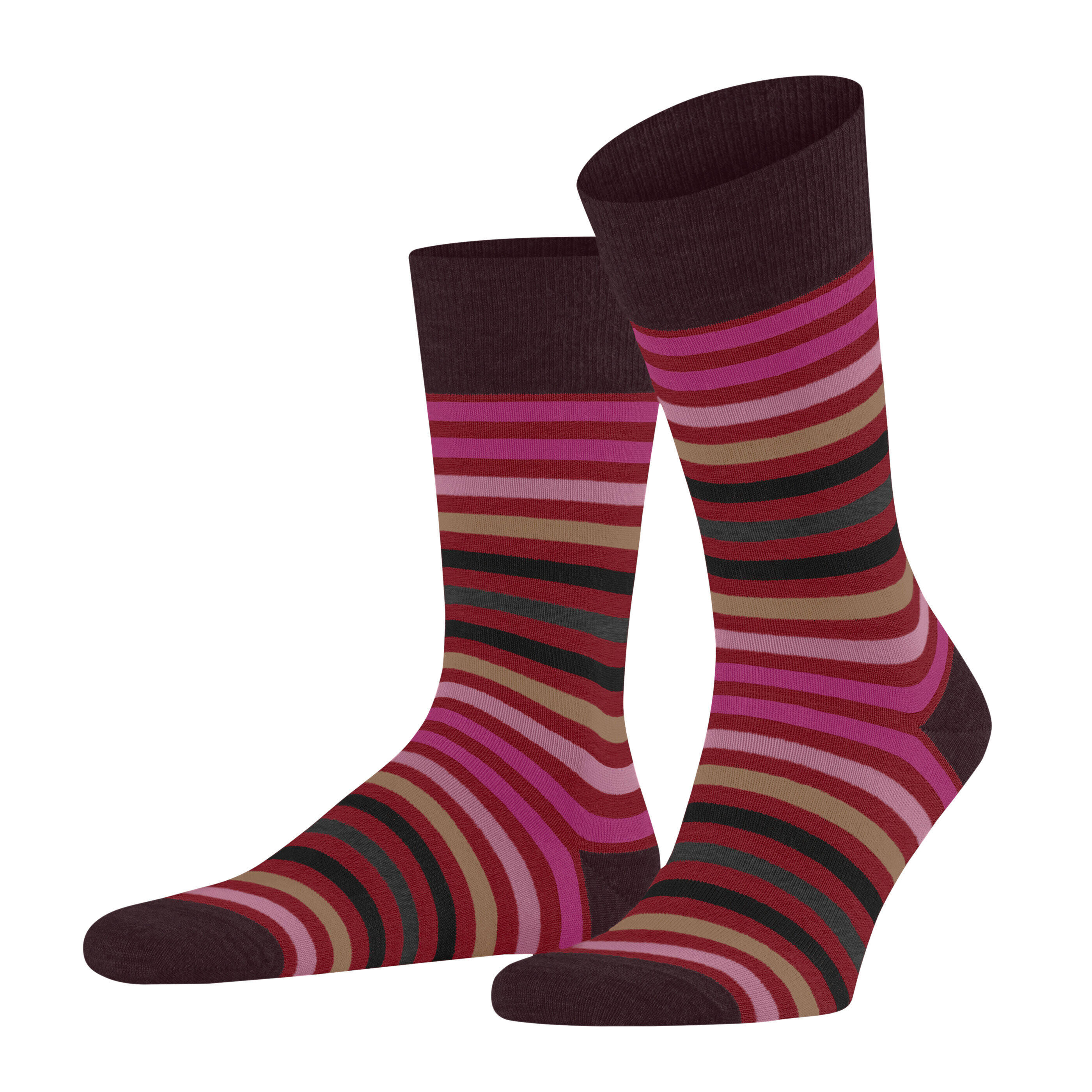 Socke Tinted Stripe