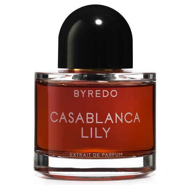 Casablanca Lily