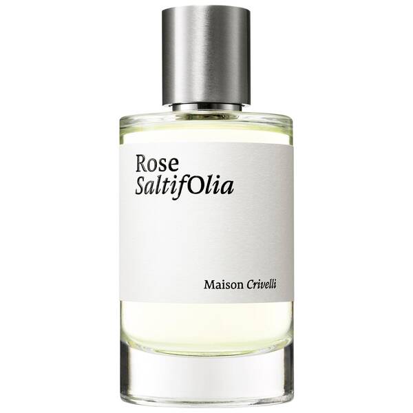 Rose Saltifolia