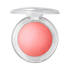 Glow Play Blush