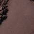 Powder Kiss Soft Matte Eye Shadow