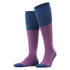 Oxford Stripe Kniestrumpf
