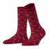 Dachshund Socke