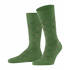 Dachshund Socke