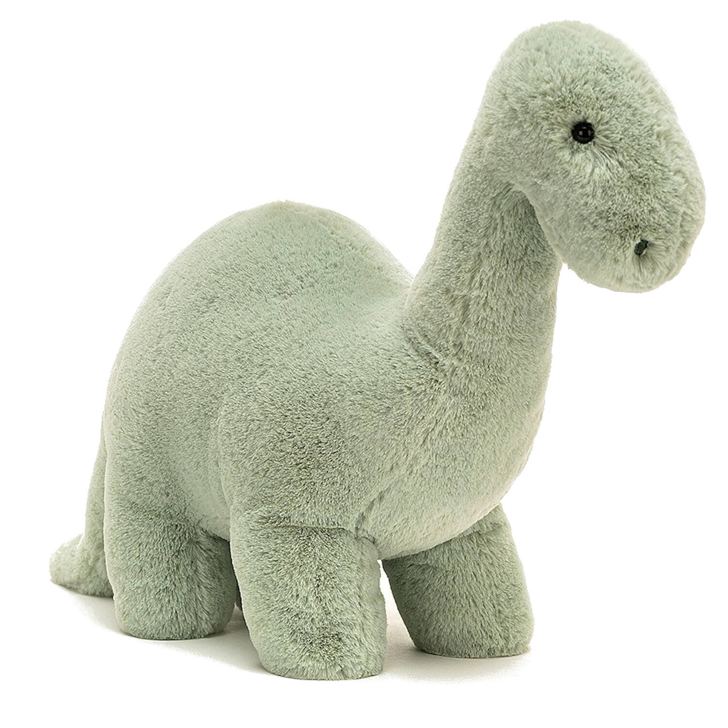 Fossily Brontosaurus