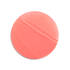 Rosy Lip Perfector
