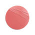 Rosy Lip Perfector