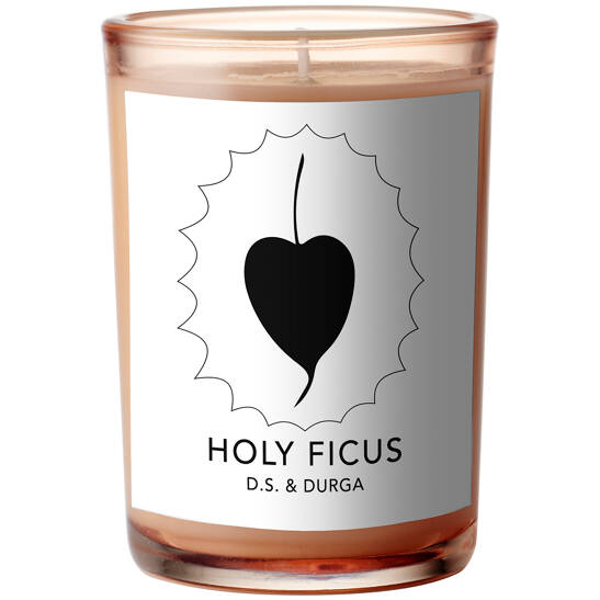 Holy Ficus Candle