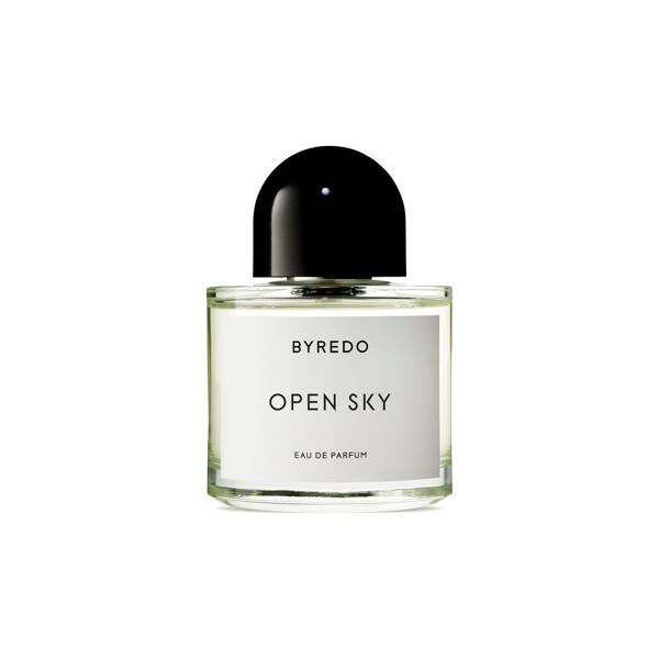 Open Sky