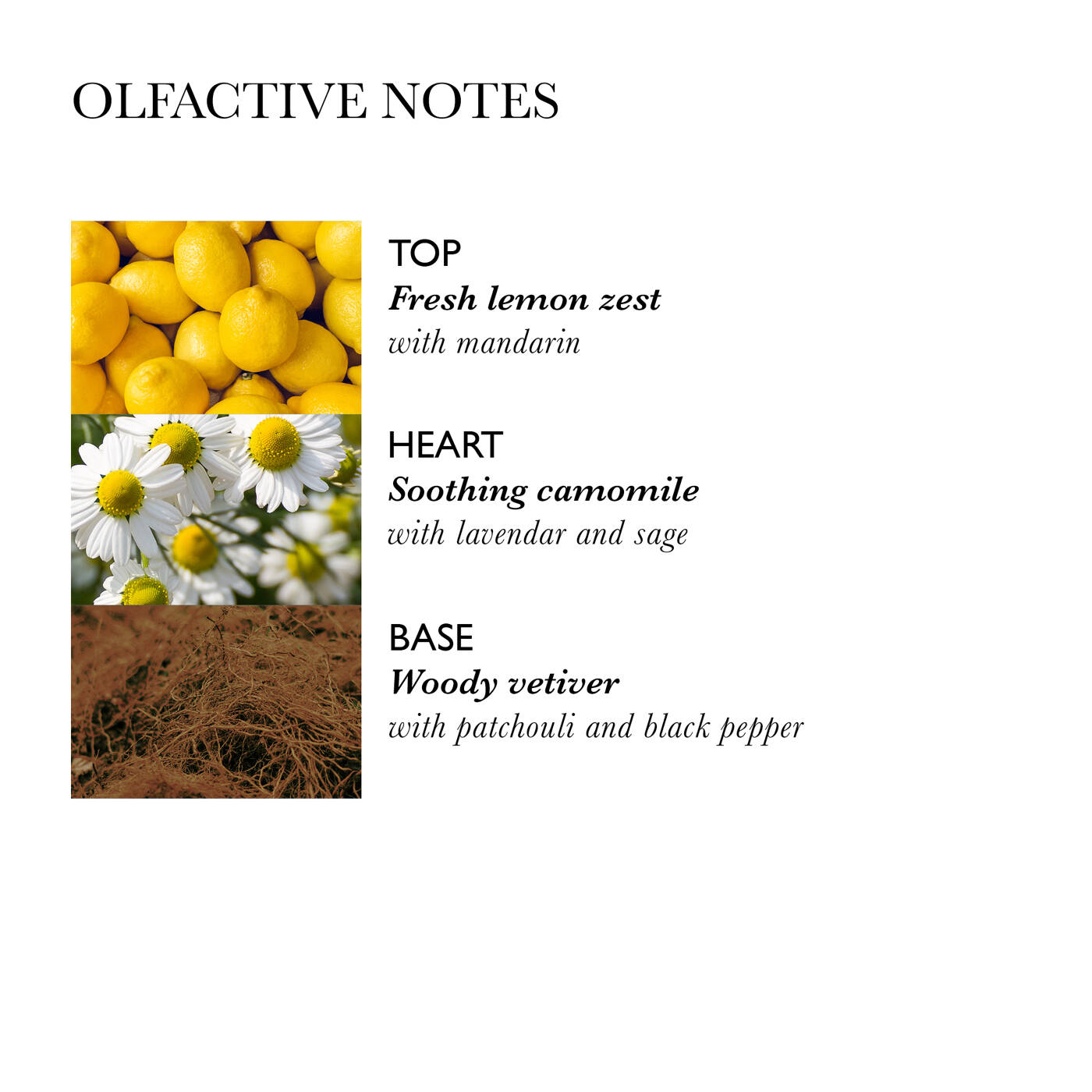 Hydrating Conditioner With Camomile von Molton Brown online bestellen