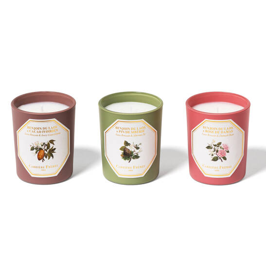 Botanical Set Laos Benzoin