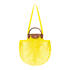 Le Pliage Filet