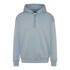 Hoodie Ciswift