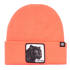 Beanie On the hunt