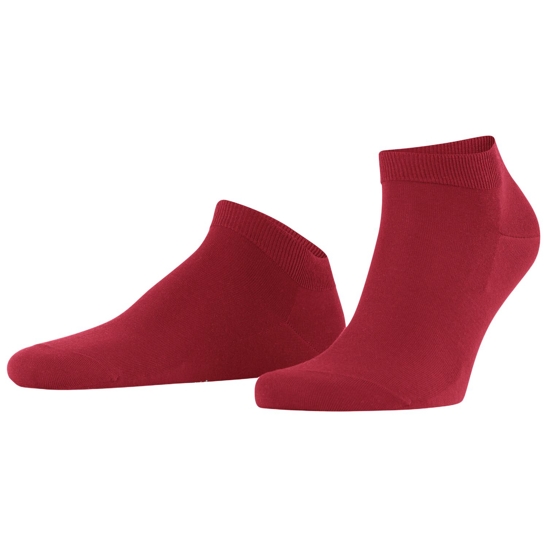 FALKE ClimaWool Herren