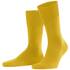 FALKE ClimaWool Herren