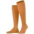 FALKE ClimaWool Herren