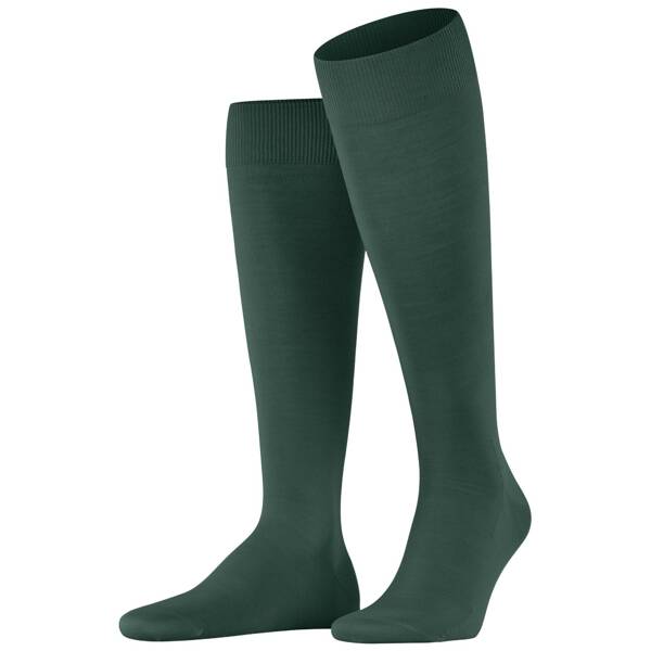 FALKE ClimaWool Herren