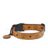 Hundehalsband 28-46cm