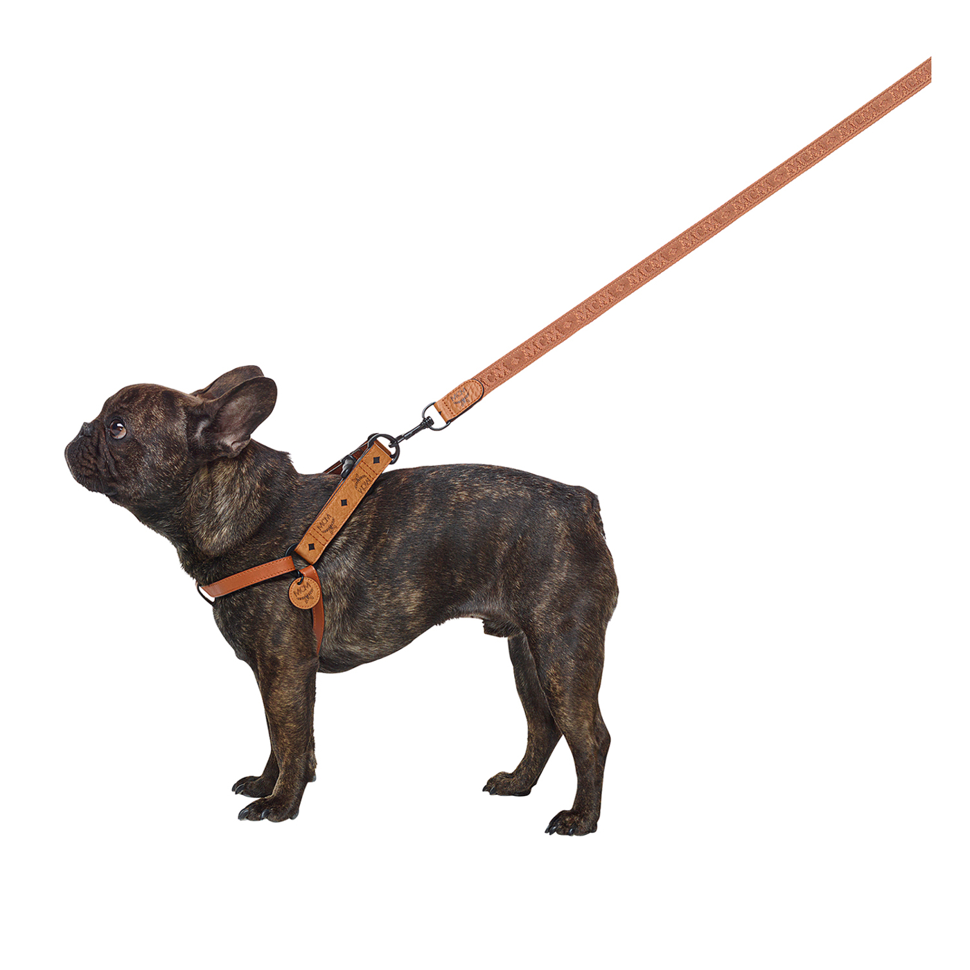 Hundeleine 130cm von MCM - online bestellen bei ludwigbeck.de