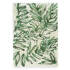 Schal Palms