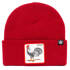 Beanie Roaster