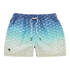 Badeshort Polar Sky