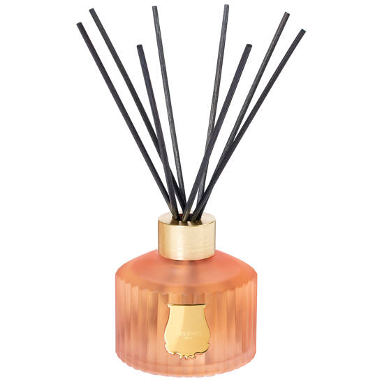 Diffuser Tuileries