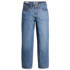 Jeans Baggy Dad