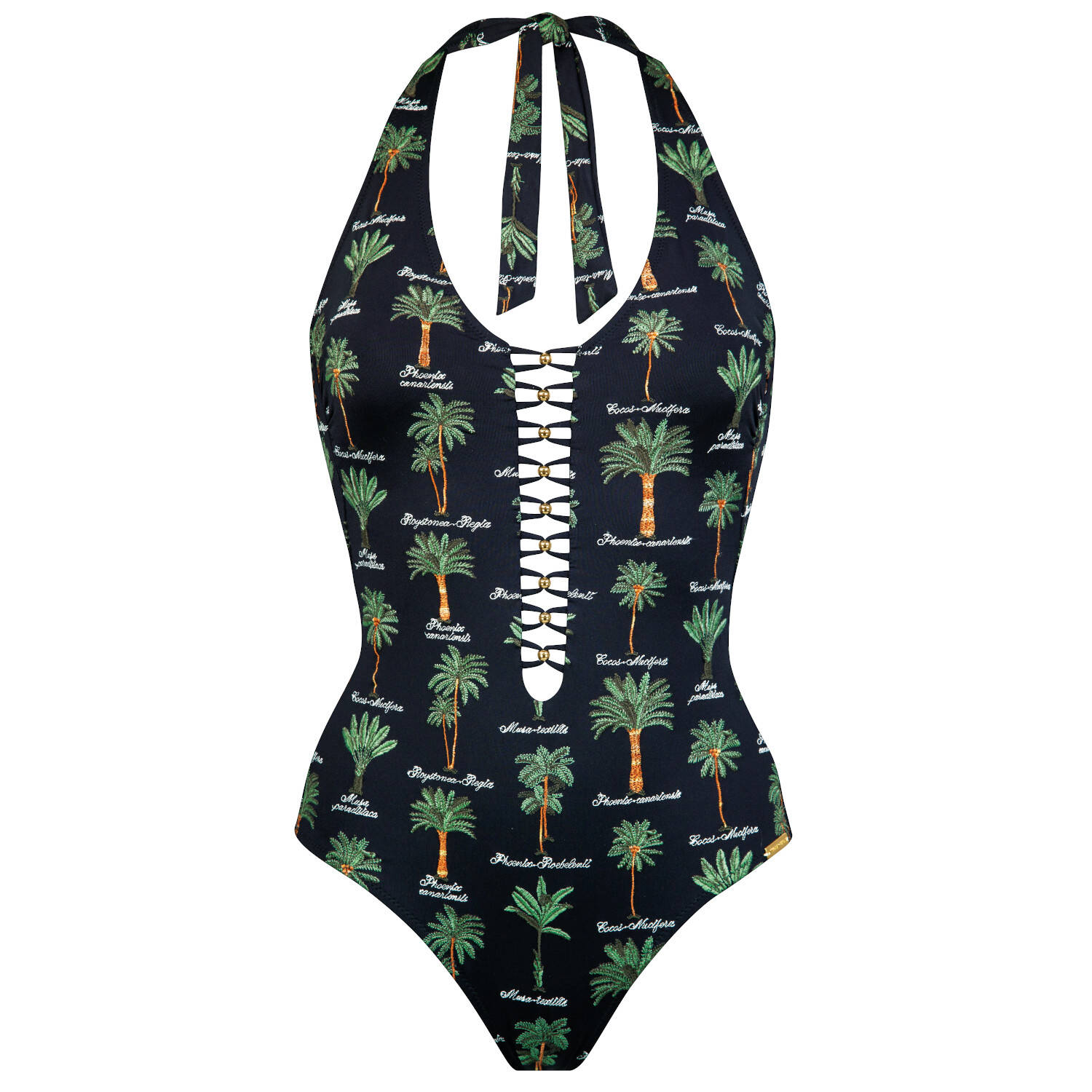 Watercult Badeanzug (schwarz | 38Bohne farbe)