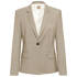 Blazer Janeri
