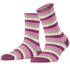 Socke Dopamine Stripe
