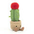 Amuseable Moon Cactus