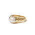 Ring Voir