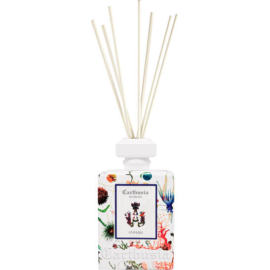 Room Diffuser A´mmare