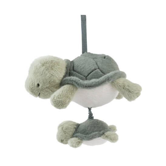 Mandy Schildkröten Musik Mobil