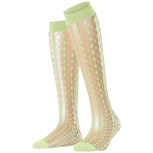 FALKE Paradise Net Damen