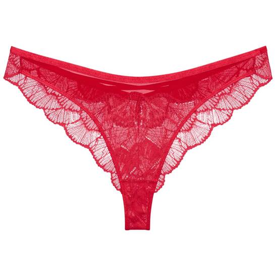 Palina Moonlight Kiss Brazilian