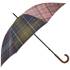 Regenschirm
